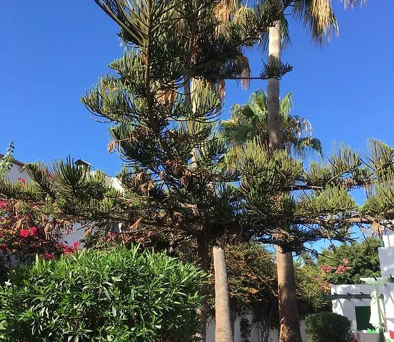 Apartman Paradise Club Oasis Puerto del Carmen