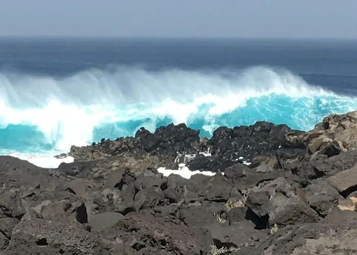 Paradise Club Oasis Apartman *