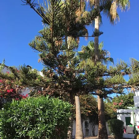 Apartamento Paradise Club Oasis Puerto del Carmen (Lanzarote)