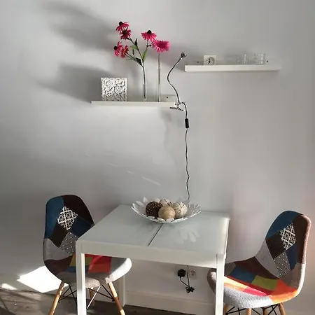 Paradise Club Oasis *