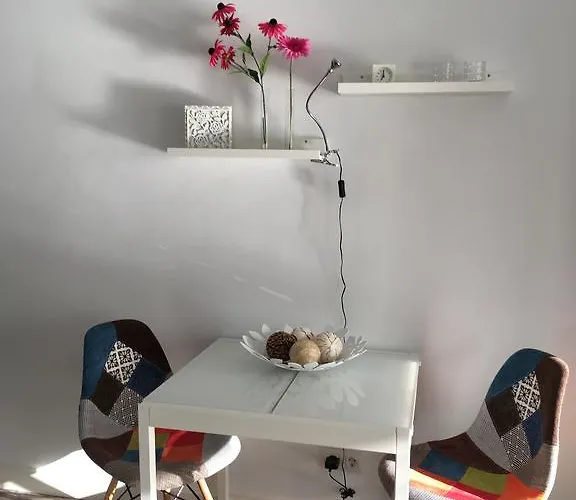 Paradise Club Oasis *